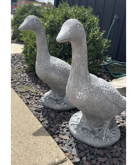 Concrete Goose