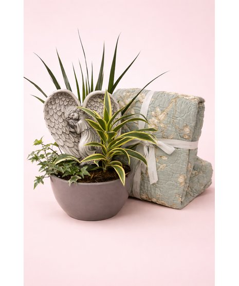 Angel Comfort Garden & Quilt Set