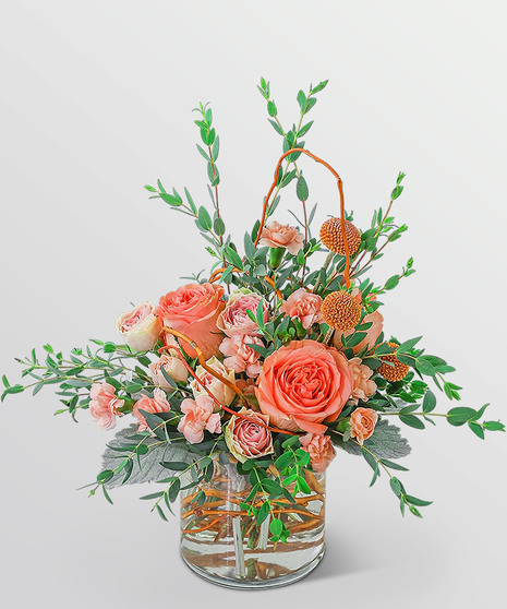 Apricot Prosecco
