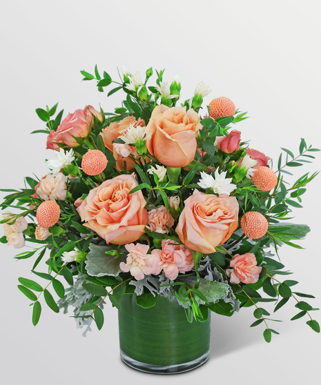 Apricoty Luxe