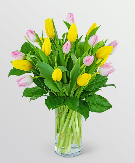 Berry Zest Tulips - 18 Tulips