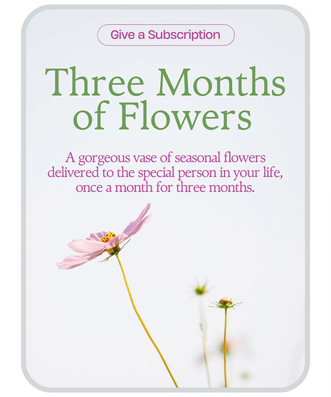 Bouquet of the Month Club (3)