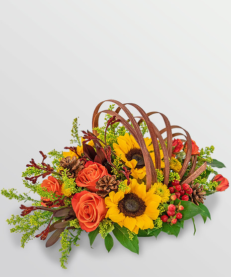 Creative Cornucopia