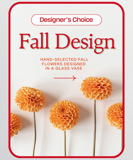 Designer's Choice Fall Design