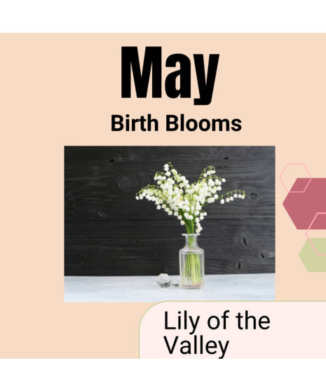 May Birth Blooms