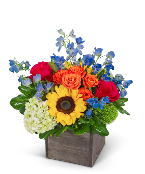 Sunrise in the Savannah