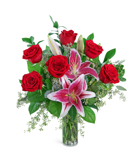 Romance Me