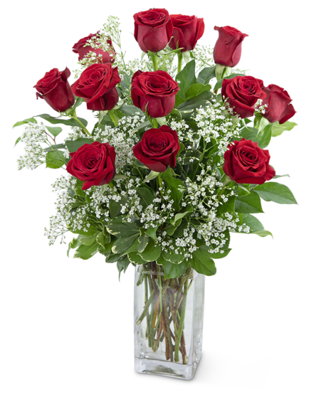 a dozen long stem red roses in a tall rectangular glass container