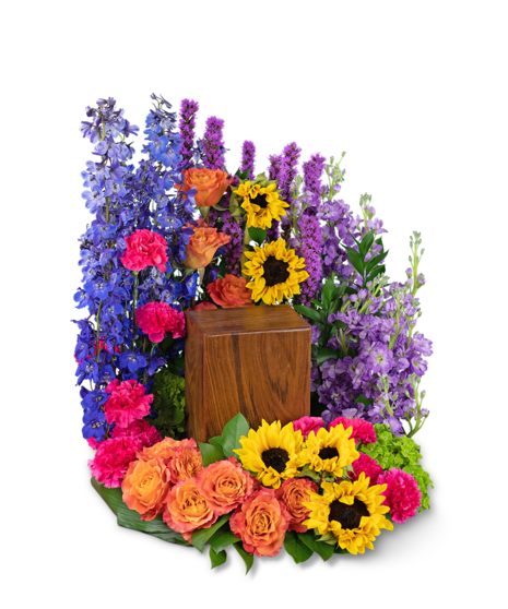 Treasured Memories Surround