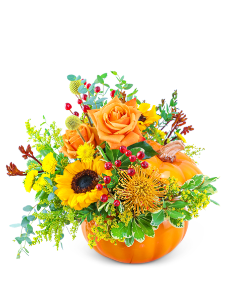 Pumpkin in Radiance Arrangement featuring roses, sunflowers, pincushion protea, alstroemeria, premium foliage in a ceramic pumpkin 