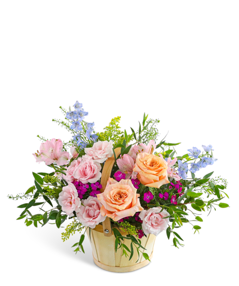 Botanical Enchantment