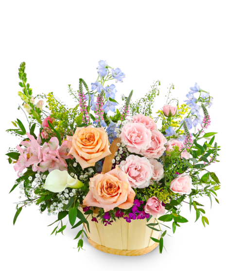 Botanical Enchantment