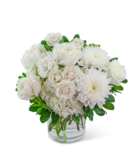Crisp Elegance