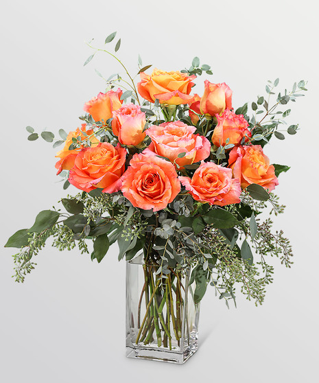 Free Spirit Roses (12)