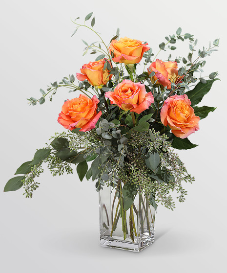 Free Spirit Roses (6)