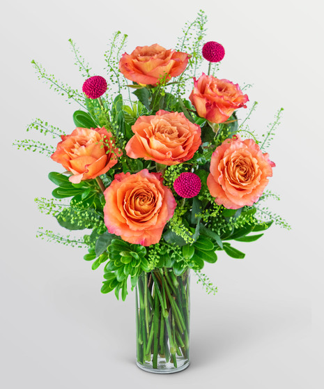 Half Dozen Wild and Free Spirit Roses