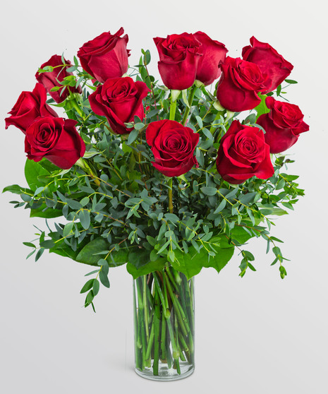 One Dozen Red Hot Roses