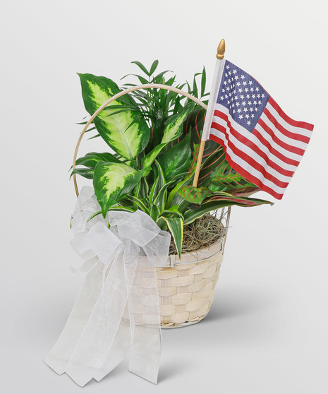 Patriotic Planter