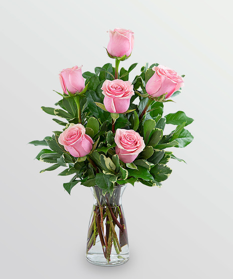 Pink Roses (6)