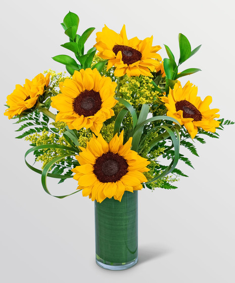 Ray Of Golden Sunflowers