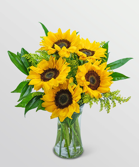 Sprinkle of Sunflowers