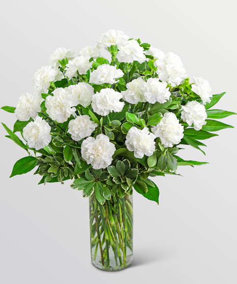 Timeless White Carnations