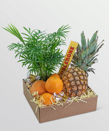 Tropical Oasis Basket