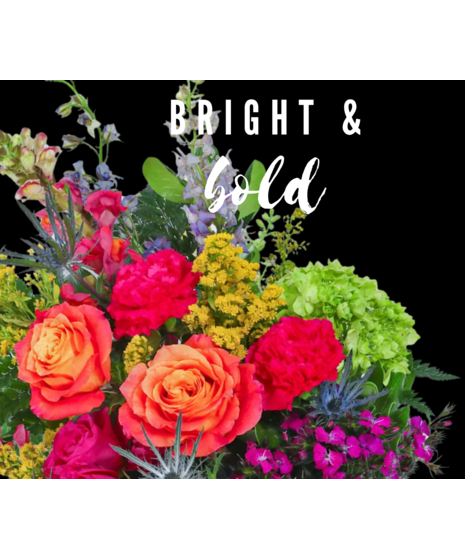 Bright & Bold