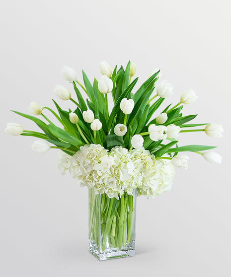 White Elegance