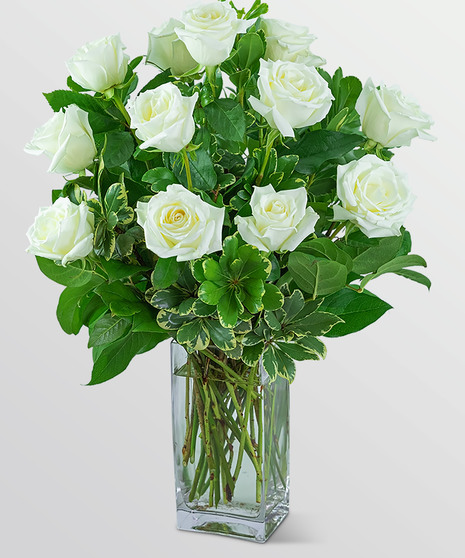 White Harmony