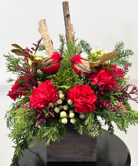 Woodland Cardinal Cheer